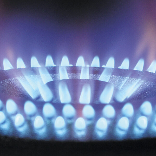 Gas engineers in the New Forest