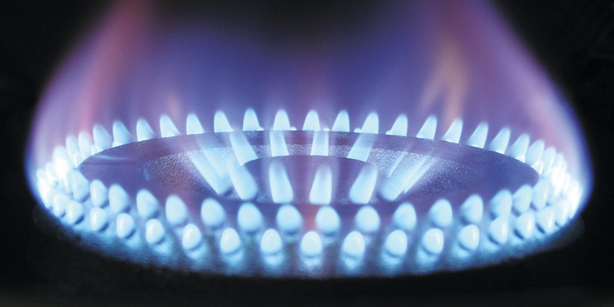 Gas engineers in the New Forest